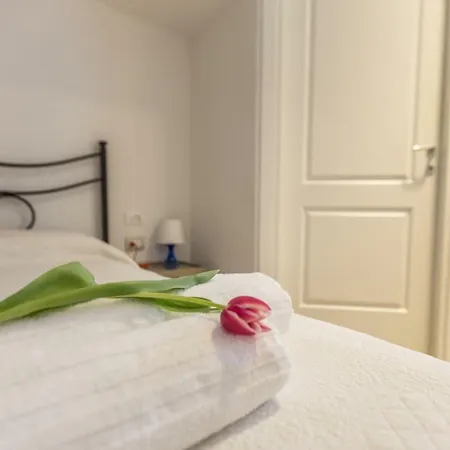 Central City Rooms Guest house
