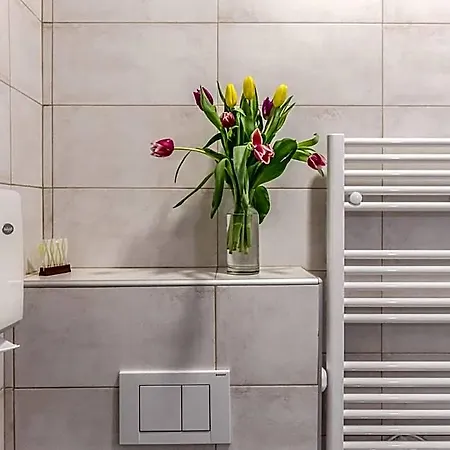 Central City Rooms בית הארחה 4*