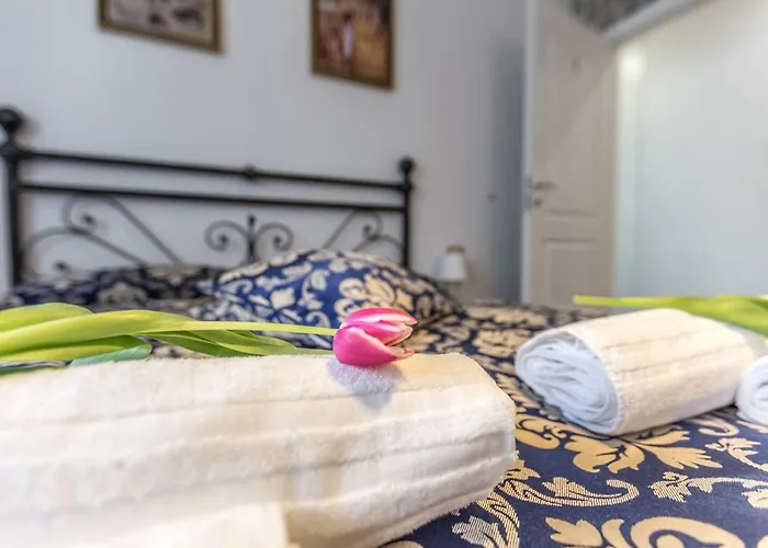 Central City Rooms Bolonia